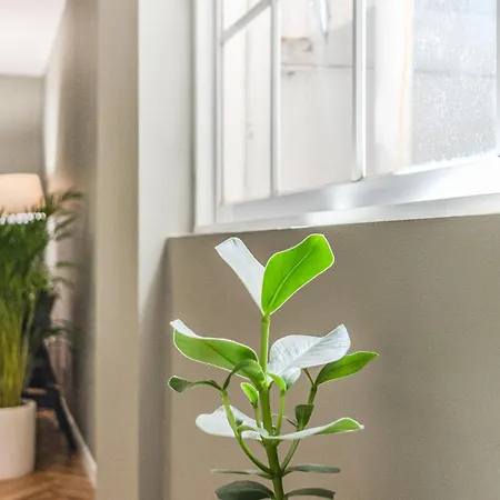 Гостьовий будинок Hygge House 4*