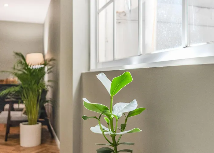 Guest house Hygge House 4*